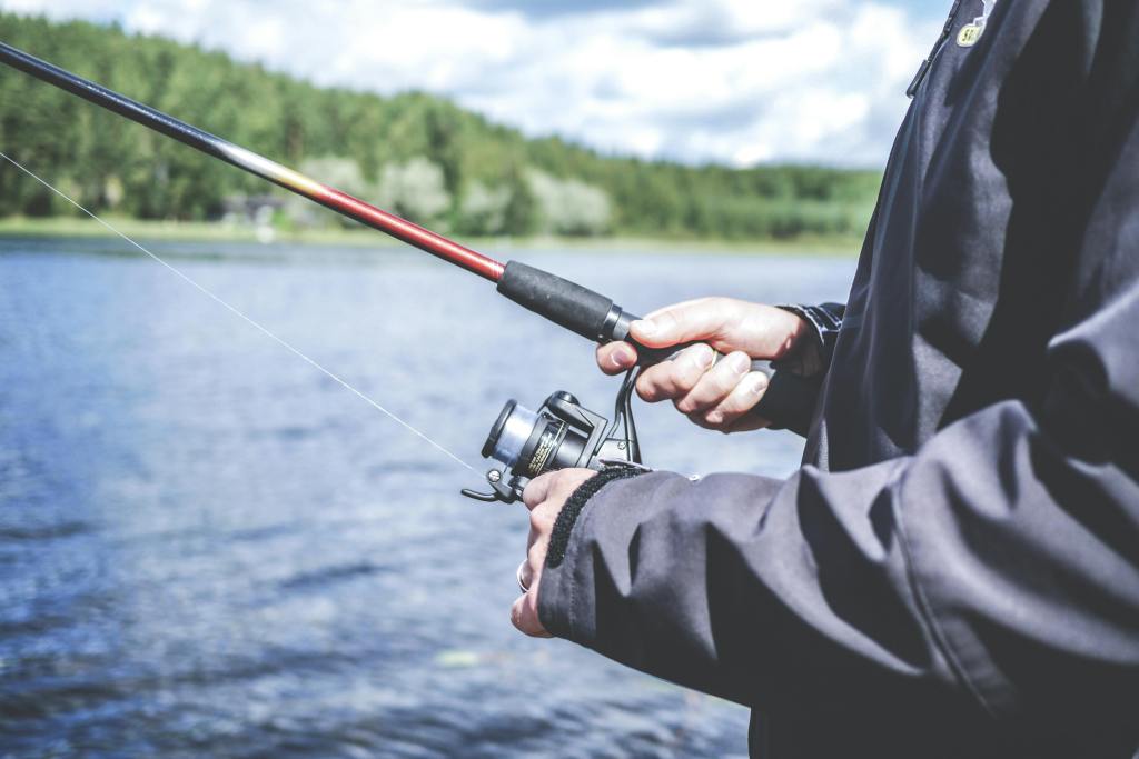 Reel Adventures: Fishing Tips and Gear for&nbsp;Beginners